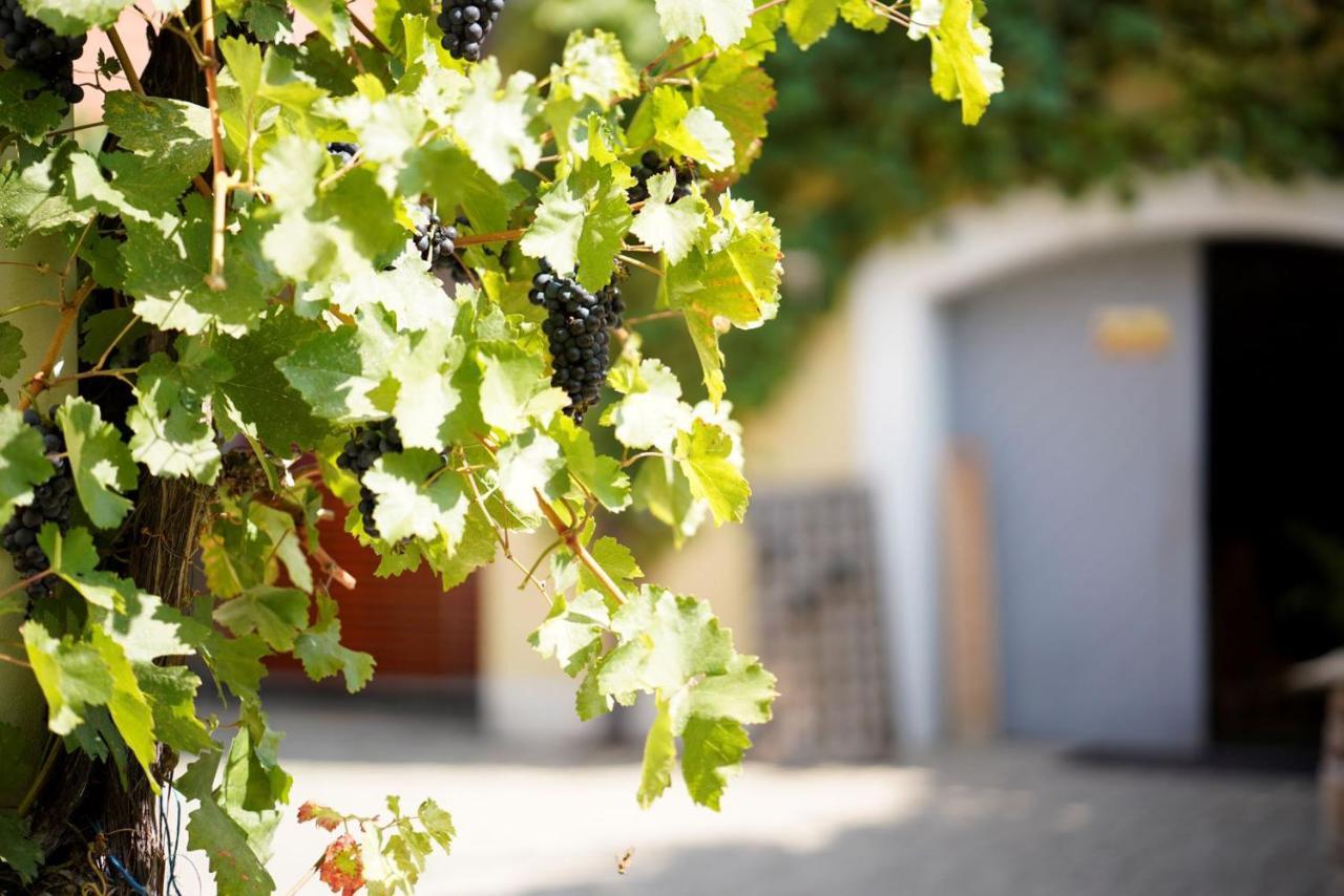 Weingut Martin Blass