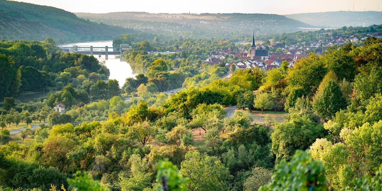 Weingut Martin Blass Gasthof Erlabrunn (Wurzburg)